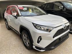 تۆیۆتا ڕاڤ 4